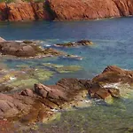 Vue Et Sur La Baie De Cannes Piscine 450m2 Randonnee Vtt Au Pied De L Esterel 公寓
